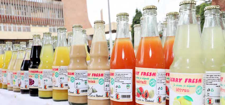 Production de jus de fruits au Cameroun